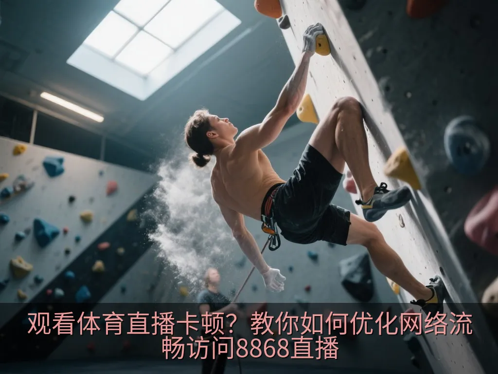 电脑屏幕上显示的通用网络连接与流媒体数据传输图表